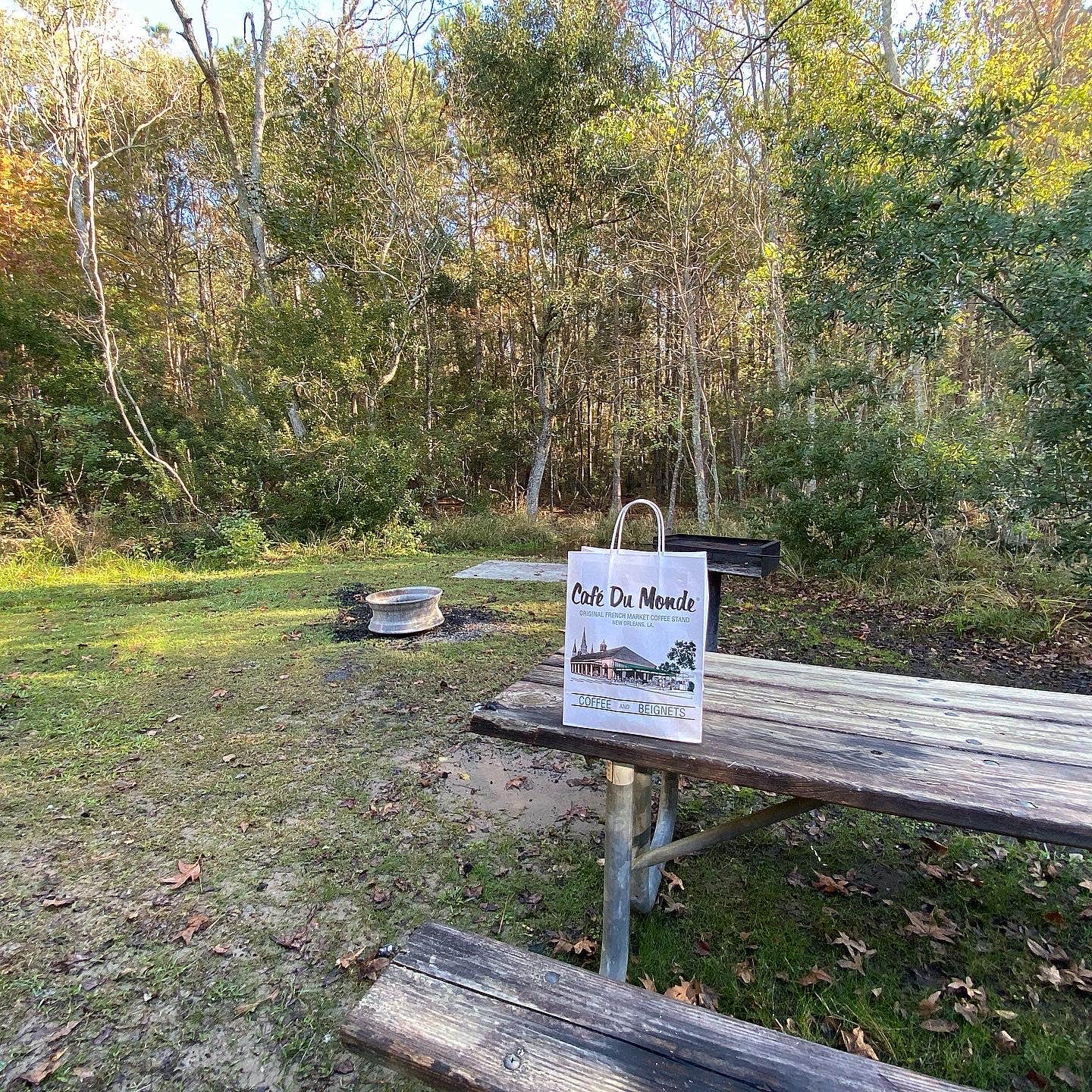 Camper-submitted photo at Fontainebleau State Park Campground in Louisiana