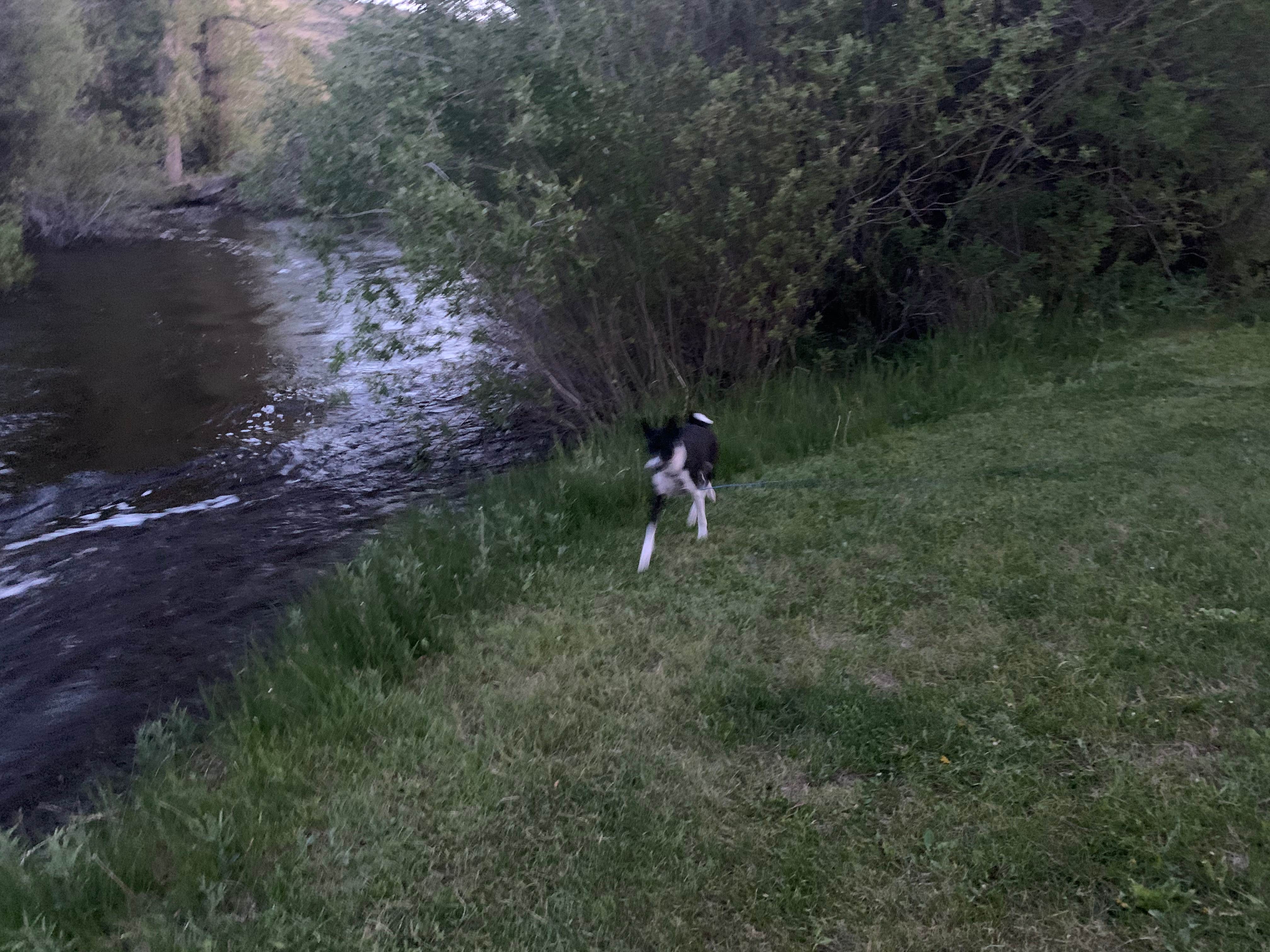 Camper submitted image from Vigilante Campground — Bannack State Park - 1