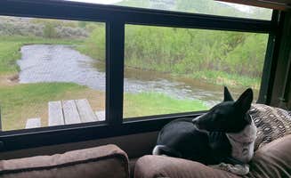 Richard M.'s photo of camping with pets at Vigilante Campground — Bannack State Park near Glen, MT