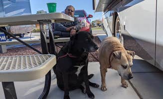 Nancy C.'s photo of camping with pets at Desert Eagle RV Park - Military Only near Las Vegas, NV