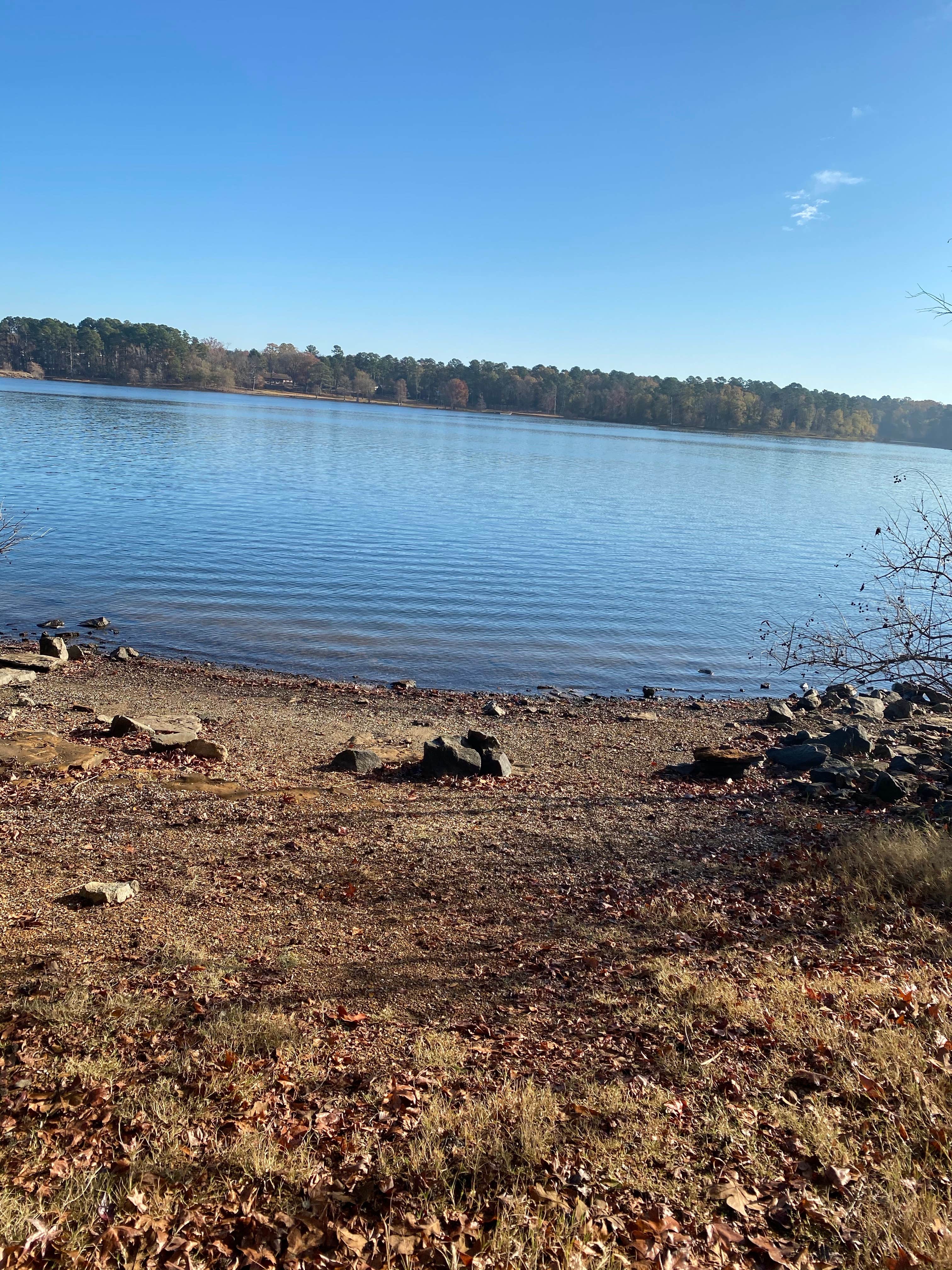 Camper-submitted photo at Johnson Creek Camp near Jefferson, TX