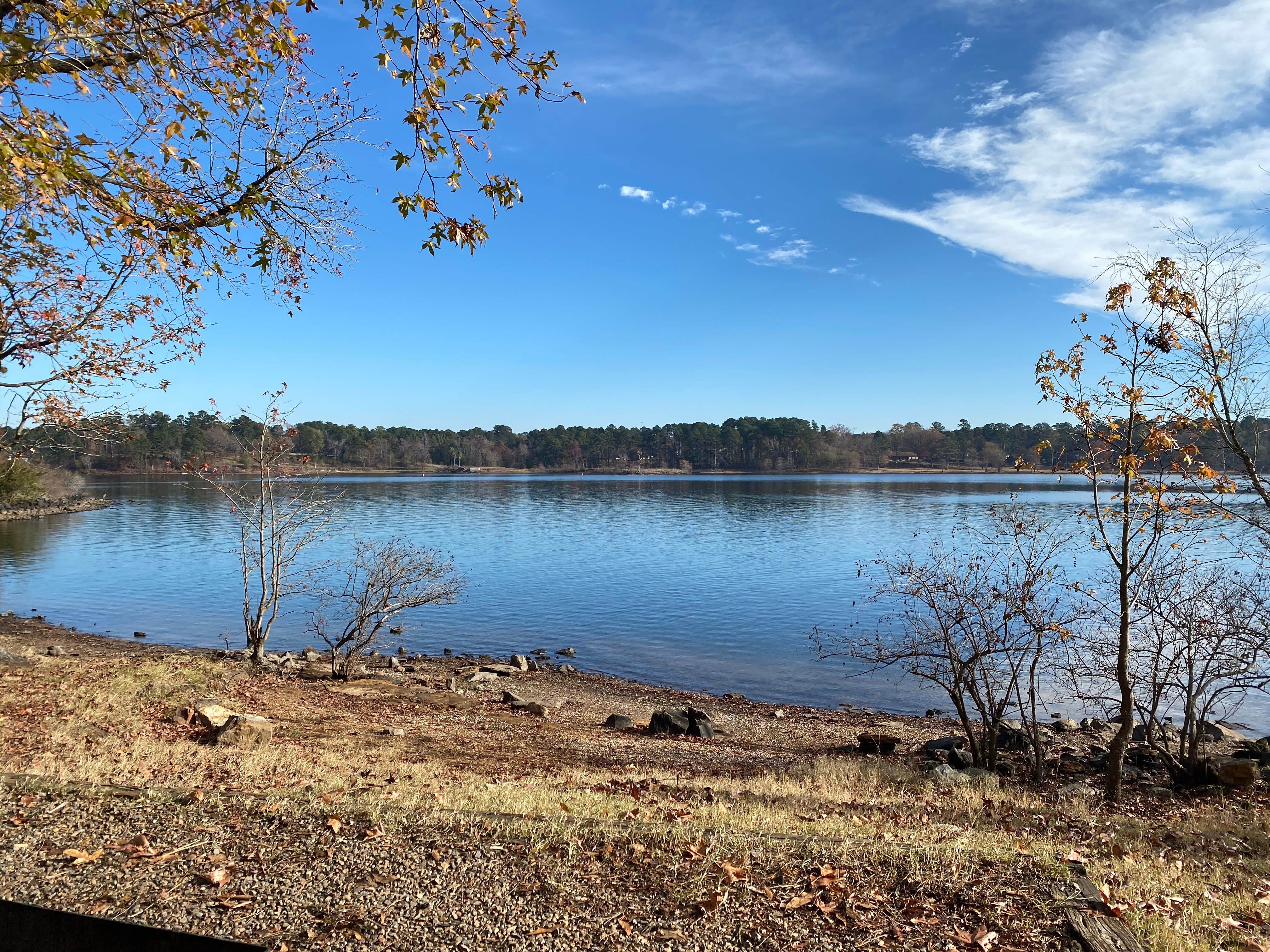 Camper-submitted photo at Johnson Creek Camp near Jefferson, TX