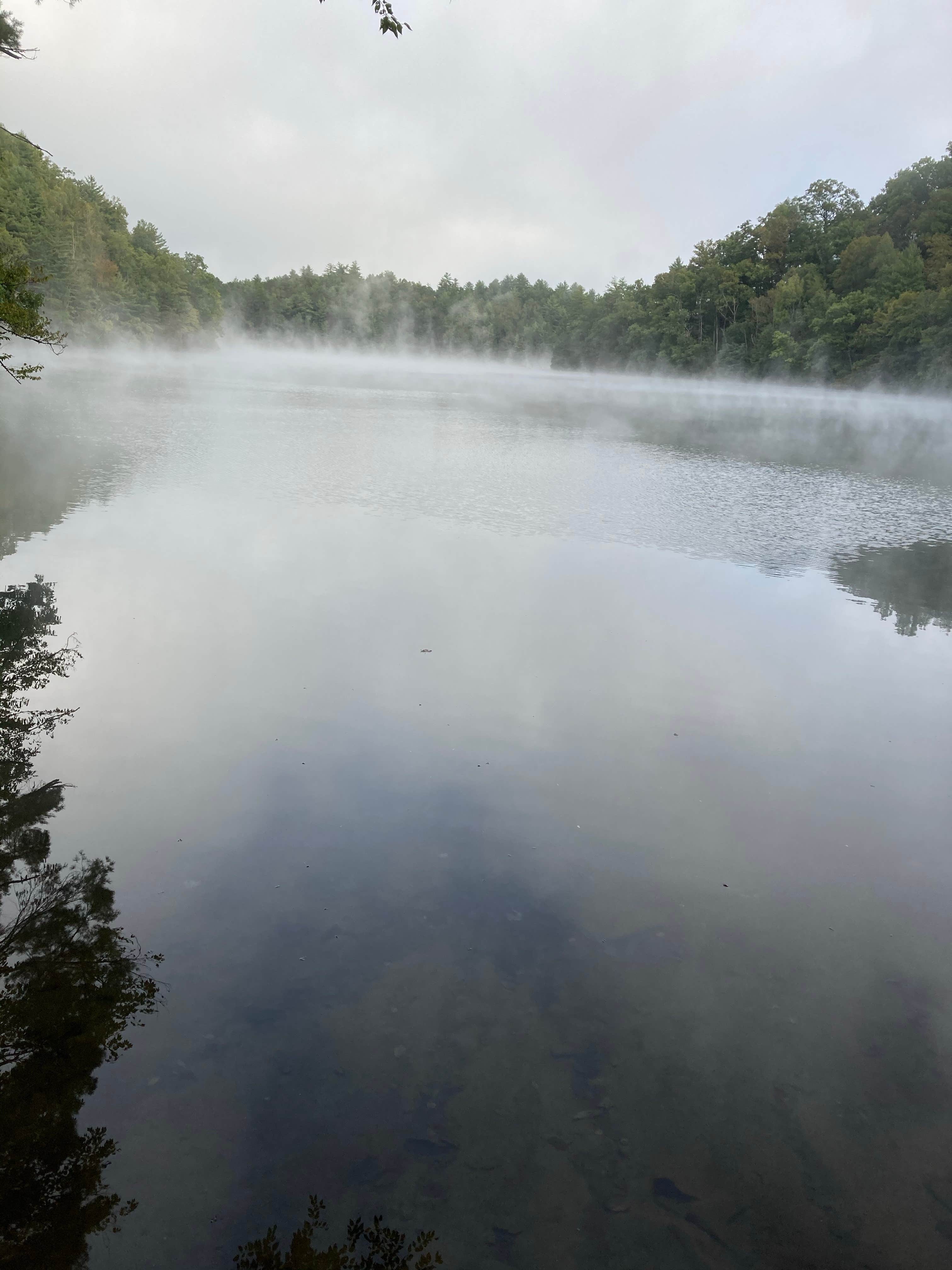 Camper submitted image from Long Hungry Road Dispersed Campsites - 1