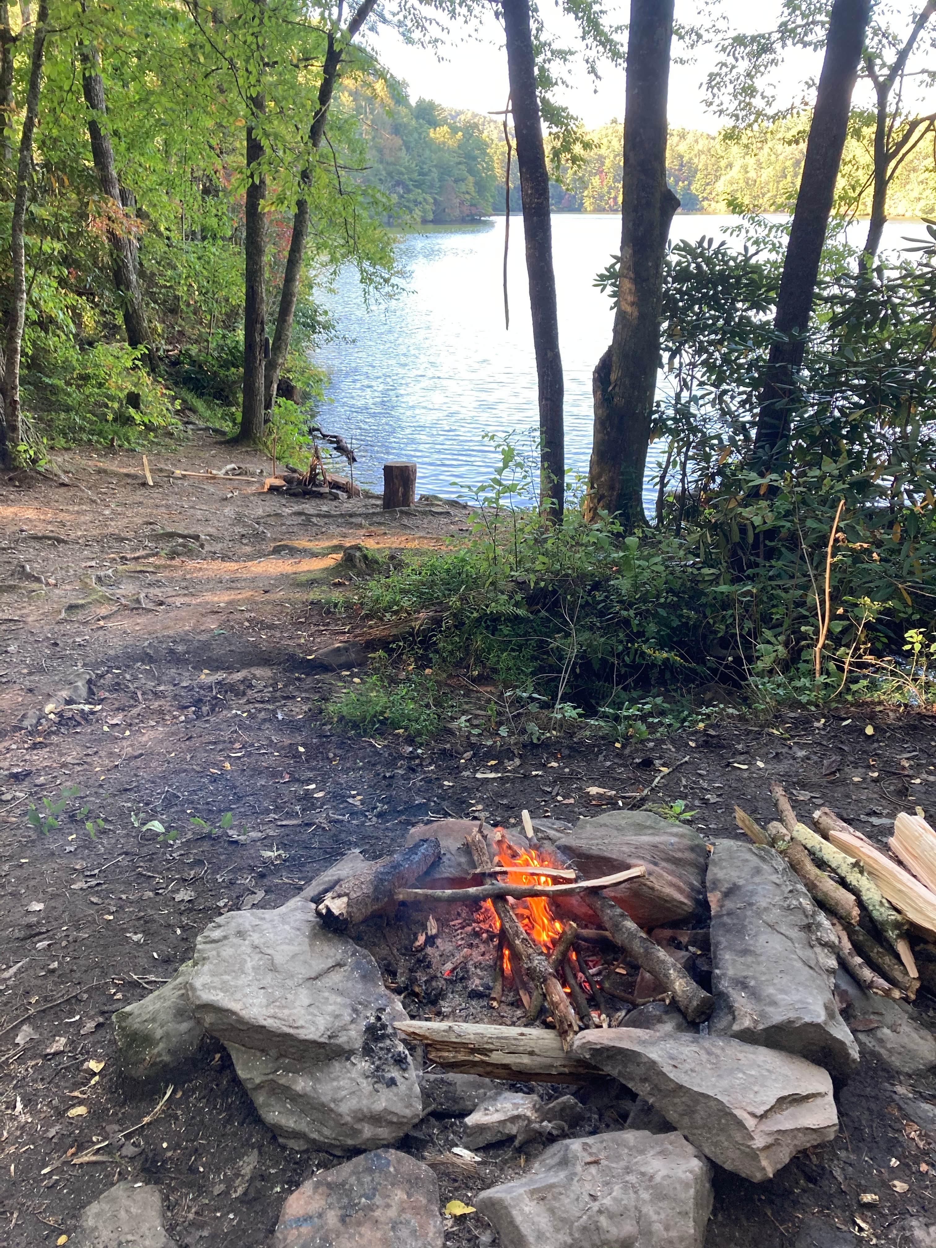 Camper-submitted photo at Long Hungry Road Dispersed Campsites near Tallassee, TN