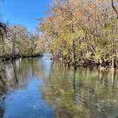 Review photo of Manatee Springs State Park Campground by Jeff A., December 7, 2020