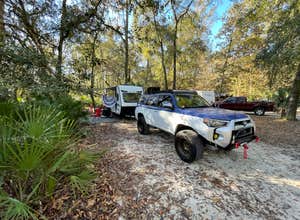 Manatee Springs State Park Campground
