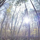 Review photo of Manatee Springs State Park Campground by Jeff A., December 7, 2020