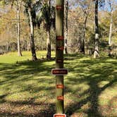 Review photo of Manatee Springs State Park Campground by Jeff A., December 7, 2020
