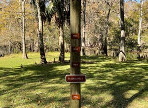 Manatee Springs State Park Campground
