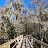 Review photo of Manatee Springs State Park Campground by Jeff A., December 7, 2020