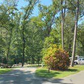 Review photo of Gulpha Gorge Campground — Hot Springs National Park by Shana D., December 7, 2020