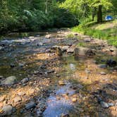 Review photo of Gulpha Gorge Campground — Hot Springs National Park by Shana D., December 7, 2020