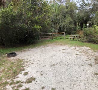 Camper-submitted photo from Clearwater-Lake Tarpon KOA