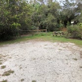 Review photo of Little Manatee River State Park Campground by Shaun C., December 7, 2020