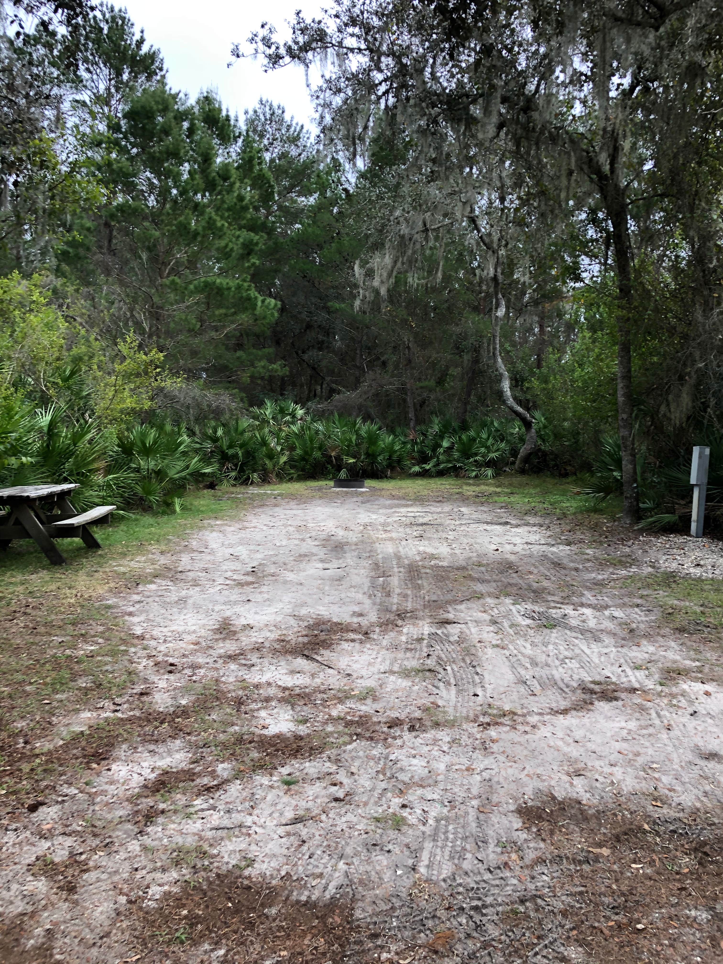 Camper-submitted photo at Little Manatee River State Park Campground near Elkton, FL