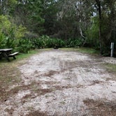 Review photo of Little Manatee River State Park Campground by Shaun C., December 7, 2020