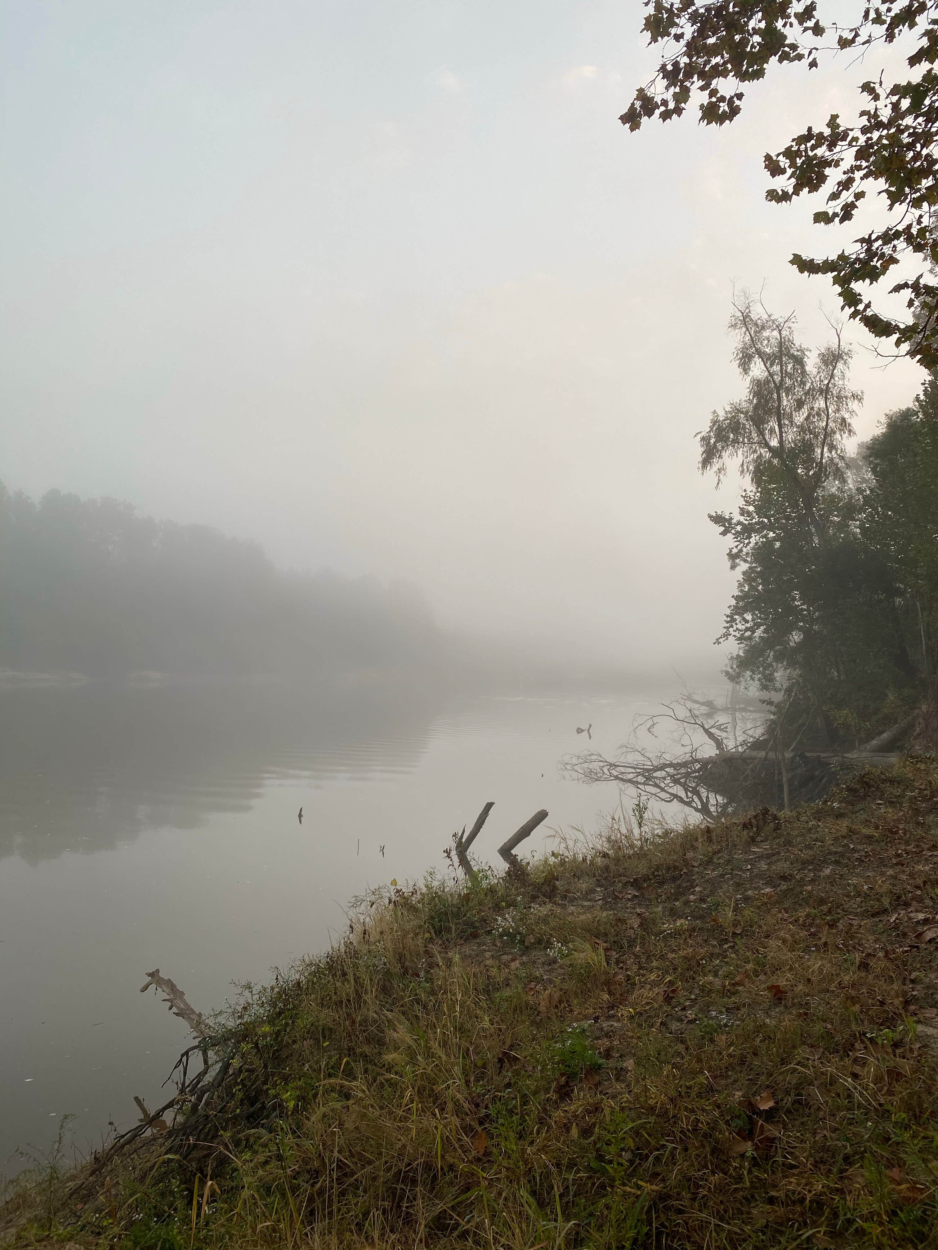 Camper submitted image from Brad's Old Ferry Landing Campground & RV Park - 3