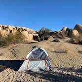 Review photo of Jumbo Rocks Campground — Joshua Tree National Park by Marissa S., December 8, 2020