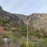 Review photo of Pine Springs Campground — Guadalupe Mountains National Park by Marissa S., December 8, 2020