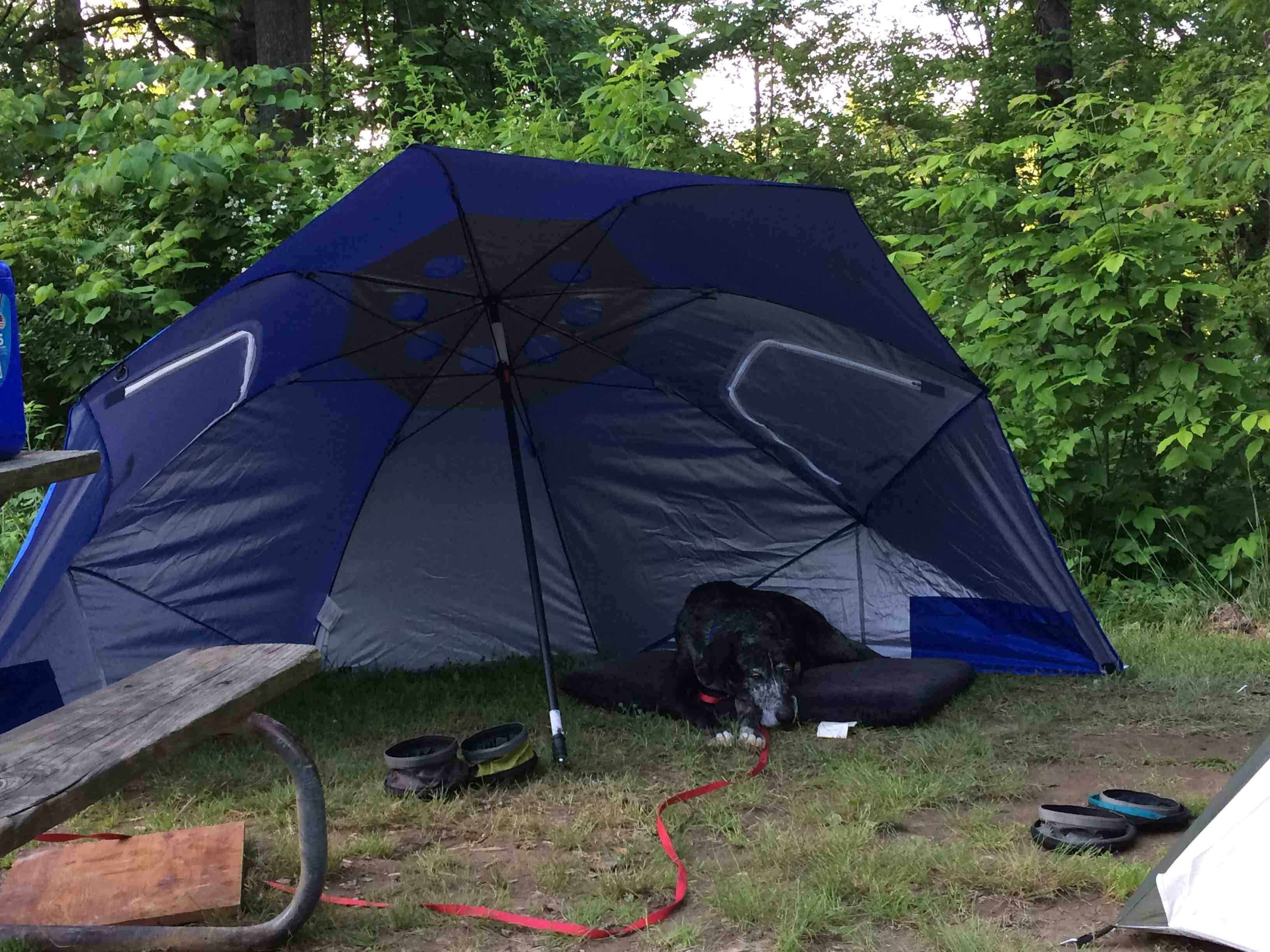 Laura C.'s photo at Hocking Hills State Park Campground near Logan, OH