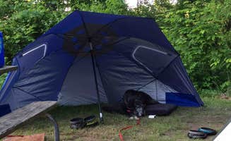 Laura C.'s photo at Hocking Hills State Park Campground near Logan, OH