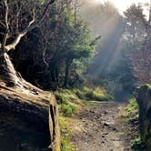 Review photo of Cannon Beach RV Resort by Tyler F., December 8, 2020