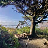 Review photo of Cannon Beach RV Resort by Tyler F., December 8, 2020