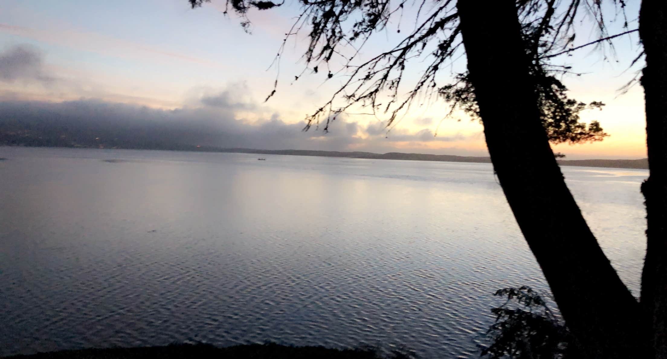 Camper submitted image from Morro Bay State Park Campground - 1