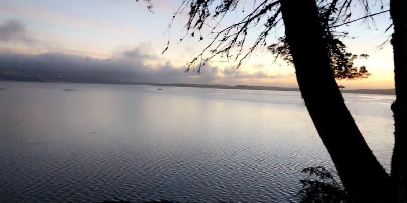 Camper submitted image from Morro Bay State Park Campground