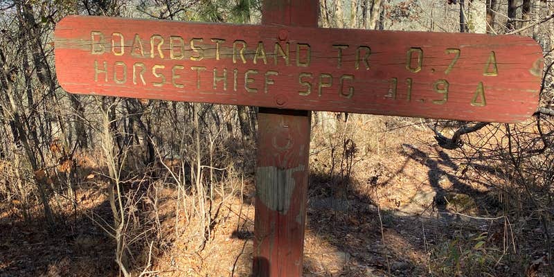 Camper submitted image from Dead Man Gap Dispersed Campsite