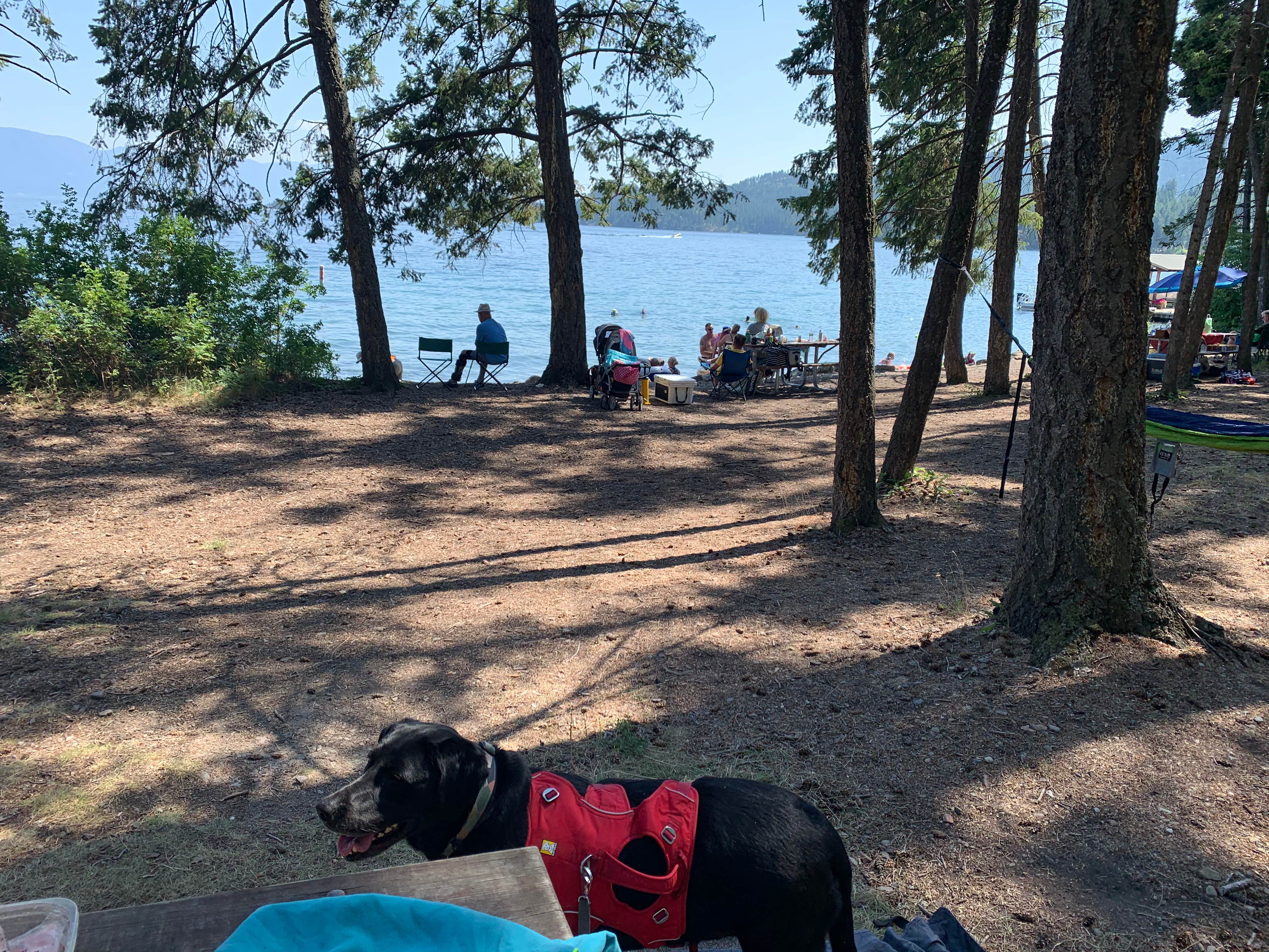 Camper-submitted photo at West Shore Unit — Flathead Lake State Park near Dayton, MT