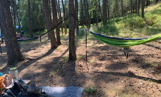 Camping near Big Arm State Unit — Flathead Lake State Park: West Shore Unit — Flathead Lake State Park, Lakeside, Montana