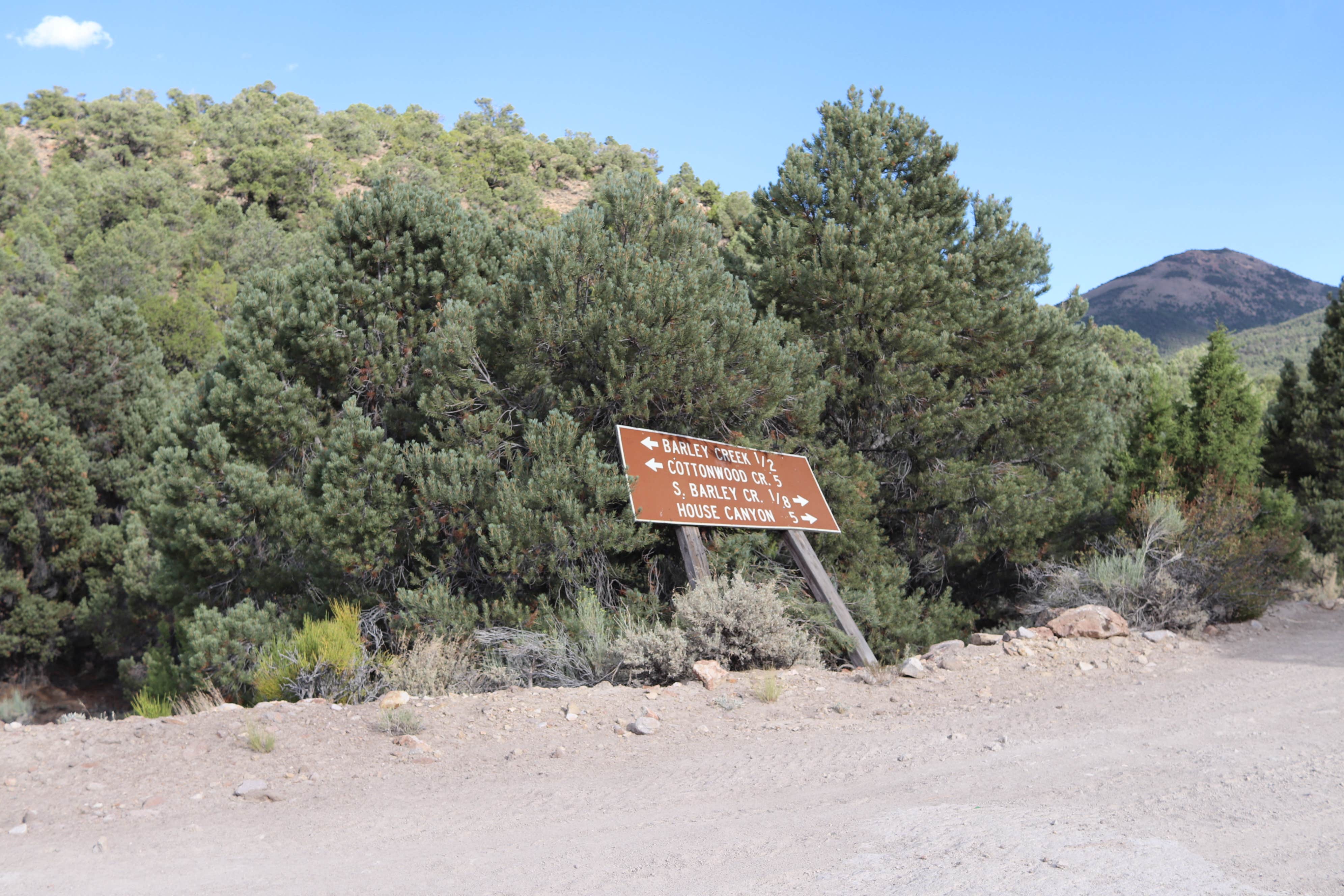 Signs & Maps