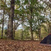 Review photo of Paris Landing State Park Campground by Sara C., December 8, 2020