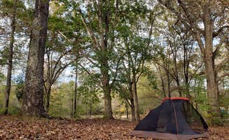 Sara C.'s photo at Paris Landing State Park Campground near Eva, TN