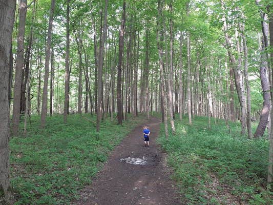 Gorgeous tall trees but the trail goes through all sorts of different types of vegetation. That's a 3 year old :)