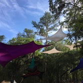 Review photo of Spirit of the Suwannee Music Park & Campground by Suzy W., May 25, 2018
