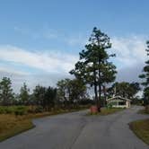 Review photo of Lake Manatee State Park Campground by L O., December 9, 2020