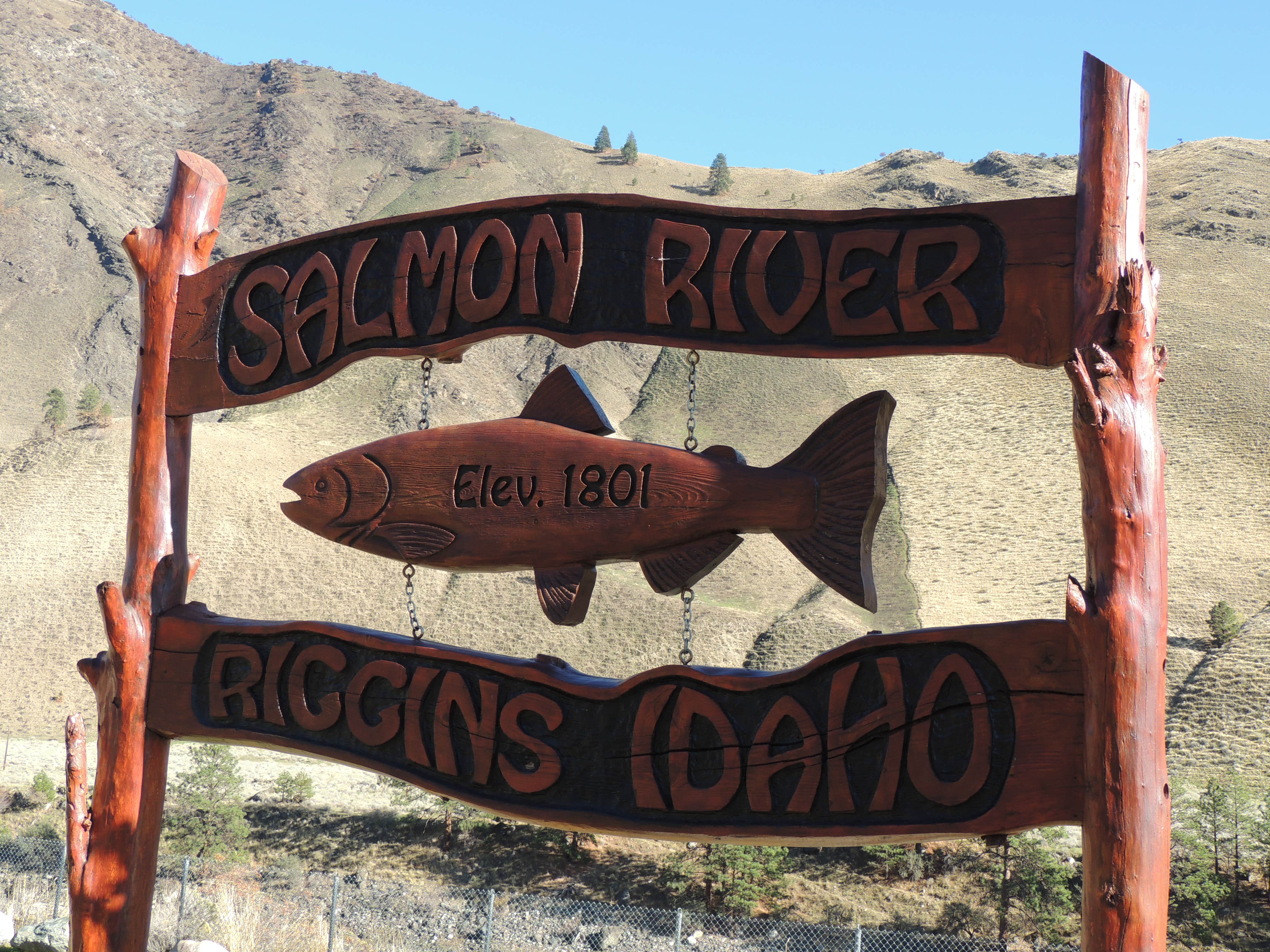 Camper-submitted photo at Riverside RV Park near Grangeville, ID