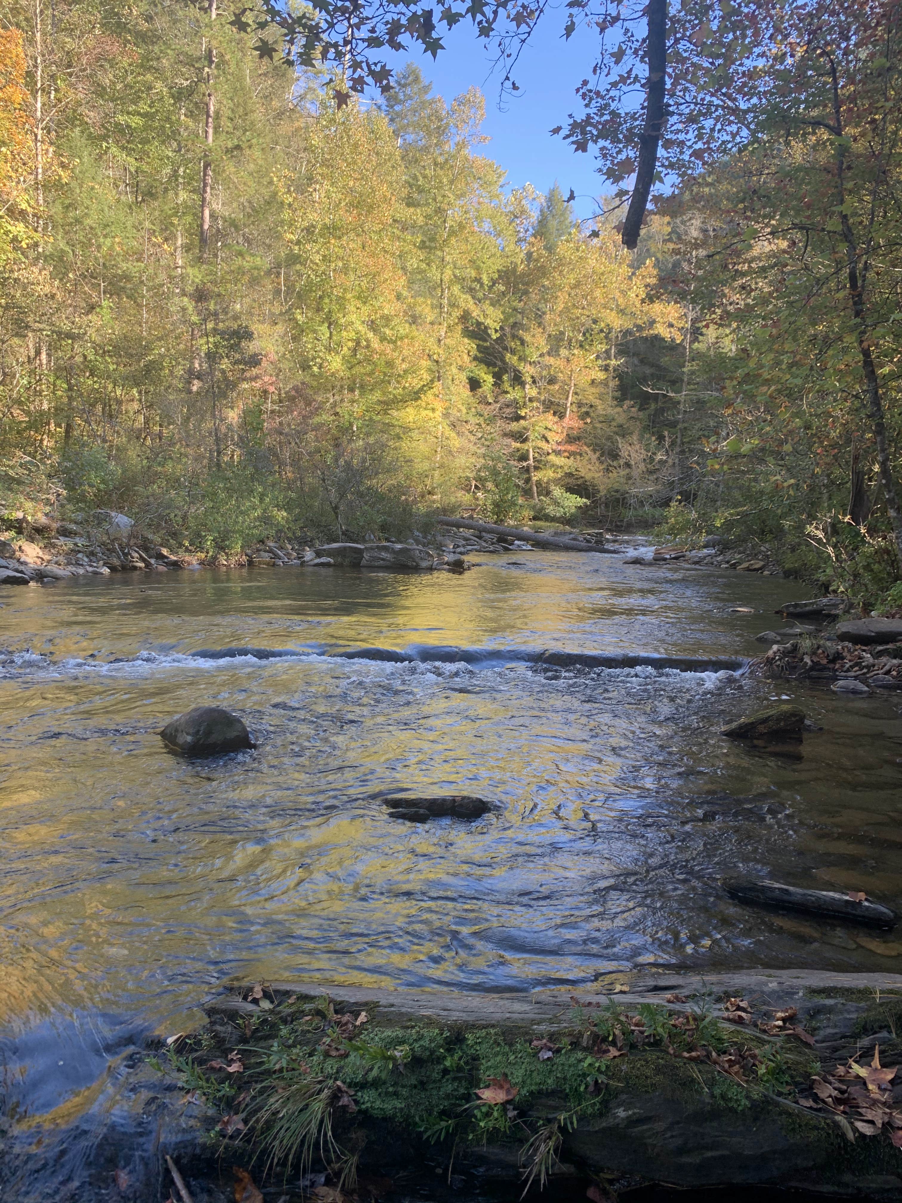 Camper-submitted photo at Jake Best Campground near Tallassee, TN