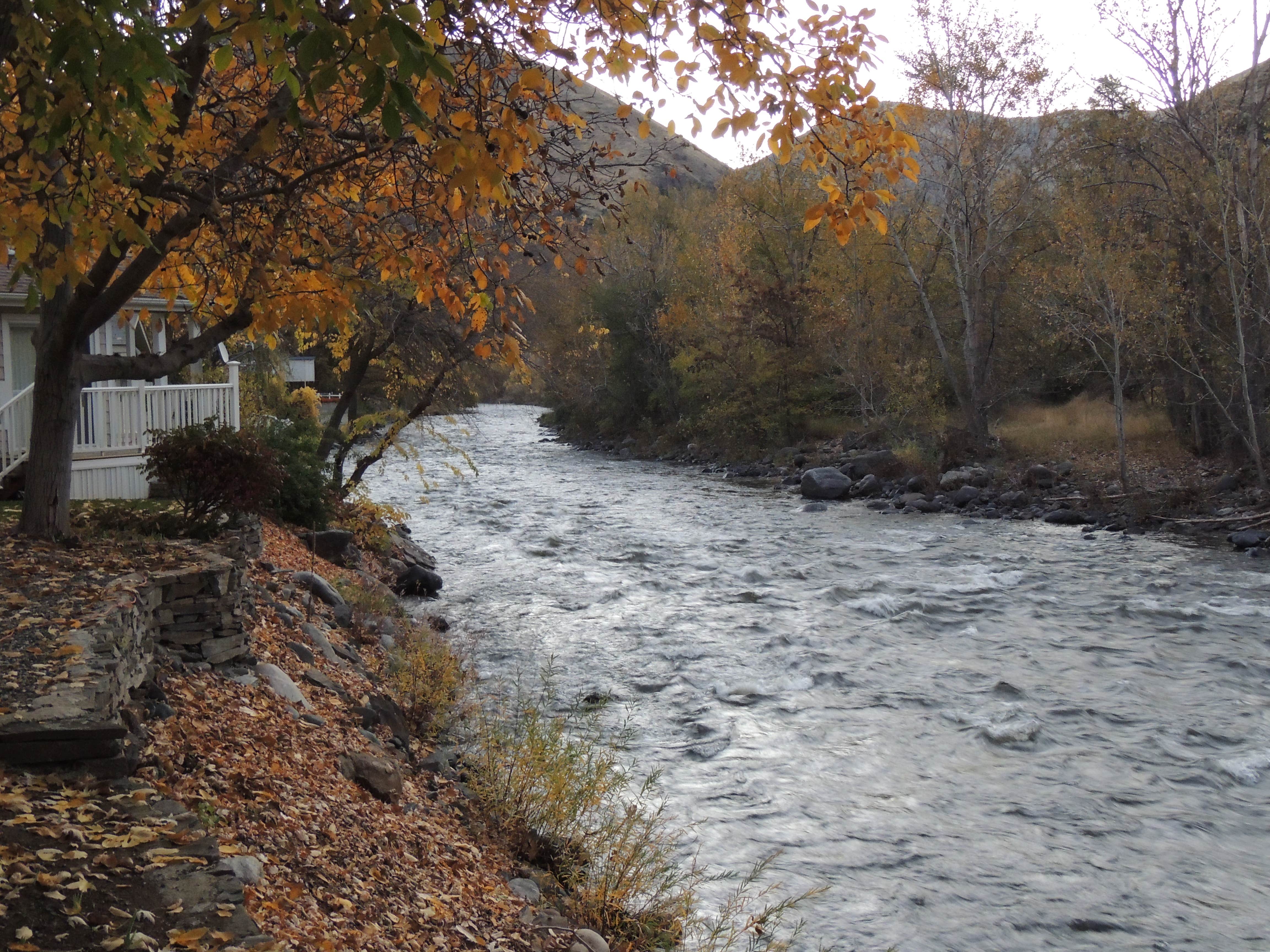 Camper-submitted photo at Riverside RV Park near Grangeville, ID