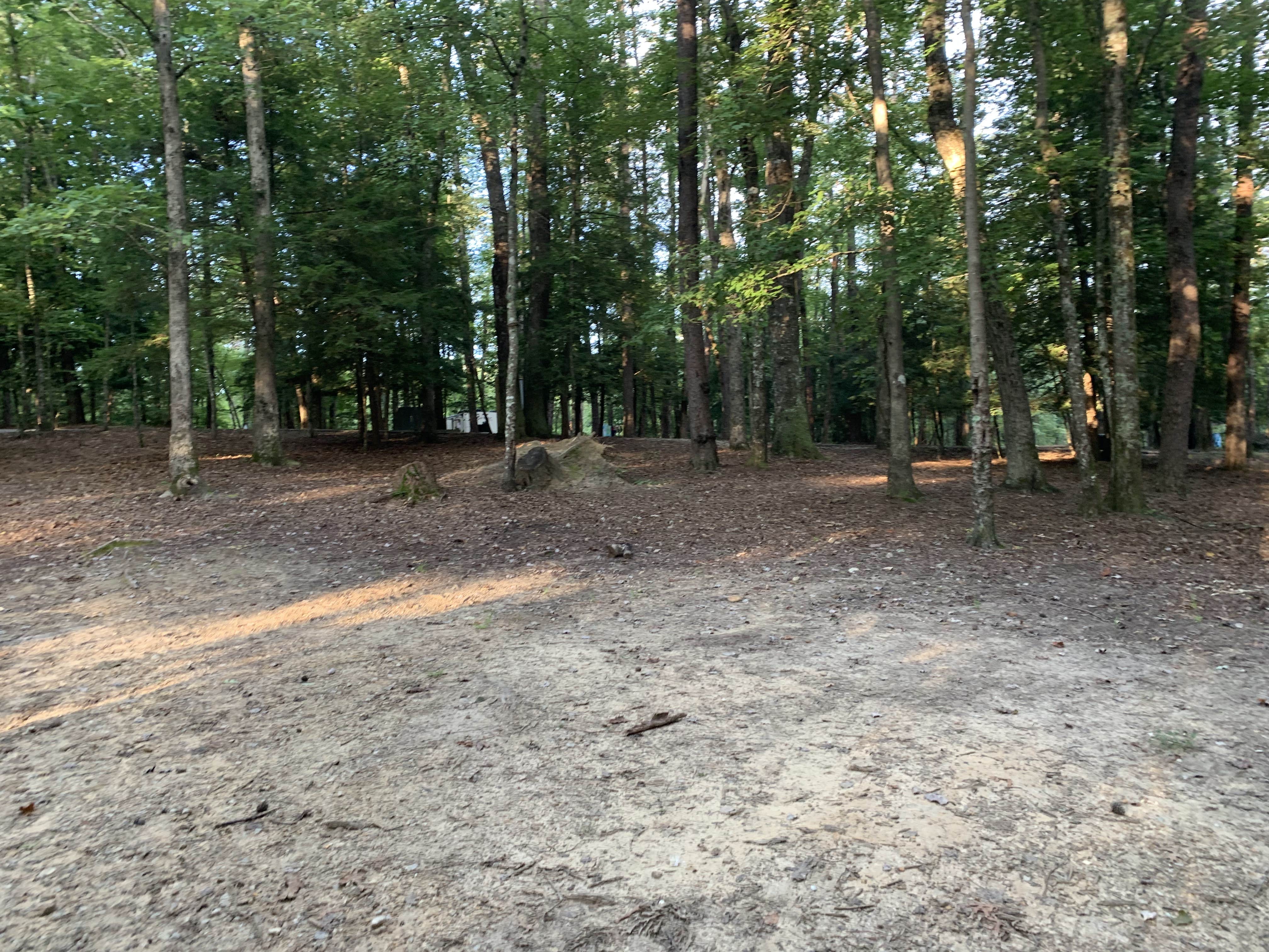 Fall Creek Falls State Park Campground