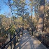 Review photo of Petit Jean State Park — Petit Jean State Park by Jeff P., December 9, 2020