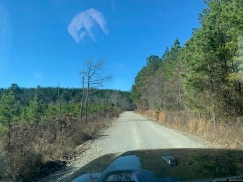 Camper-submitted photo at Ouachita National Forest Fourche Mountain near Royal, AR