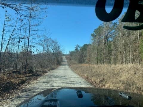 Ouachita National Forest Fourche Mountain