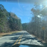 Review photo of Ouachita National Forest Fourche Mountain by Jeff P., December 9, 2020