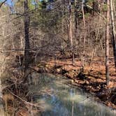 Review photo of Ouachita National Forest Fourche Mountain by Jeff P., December 9, 2020