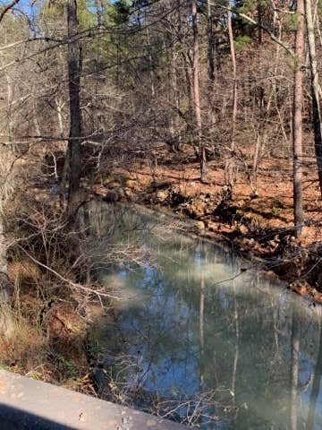 Camper submitted image from Ouachita National Forest Fourche Mountain - 5