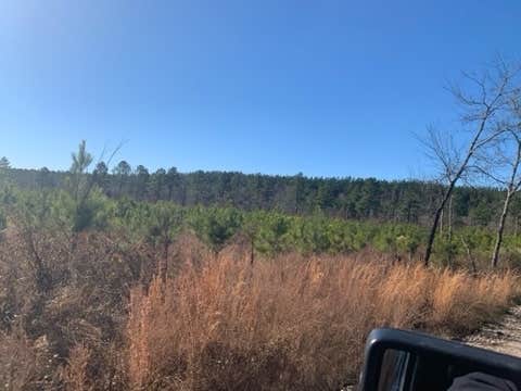 Camper-submitted photo at Ouachita National Forest Fourche Mountain near Royal, AR