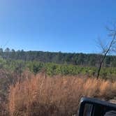 Review photo of Ouachita National Forest Fourche Mountain by Jeff P., December 9, 2020